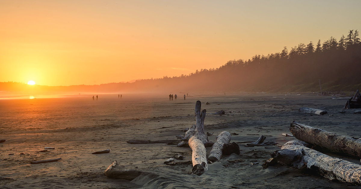 Пасифик-Рим (национальный парк). Pacific Rim National Park reservation КИТВ. Tofino and Pacific Rim National Park Reserve.