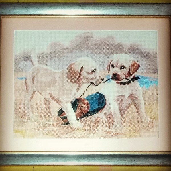 Labradors - My, Cross-stitch, Embroidery, My, Labrador