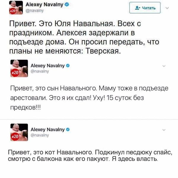 I am the power here! - Politics, Humor, Alexey Navalny, Fake, Rally