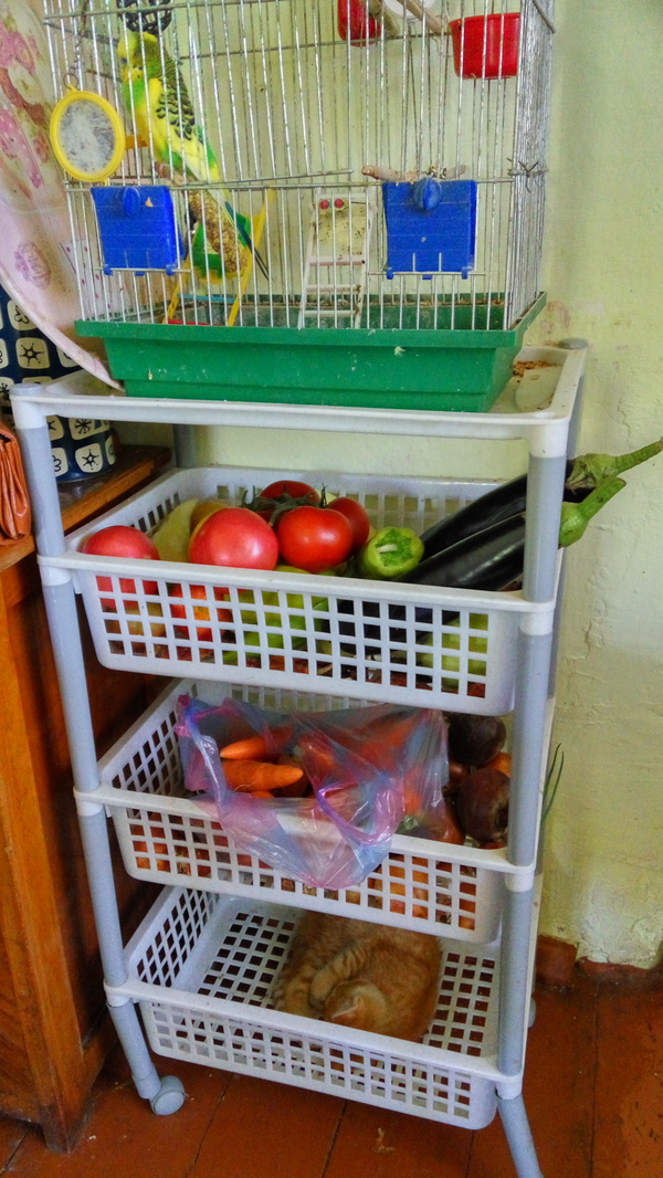 Convenient rack - My, Rack, Kitchen, Vegetables, Animals