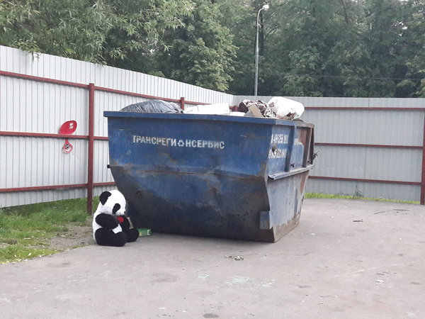 Panda was abandoned by the owner - The street, My, Nadezhdaveralubov, Hard