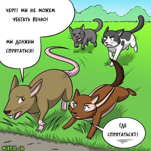 stealth masters - GIF with background, Translation, Comics, Kat swenski, GIF, Longpost, cat