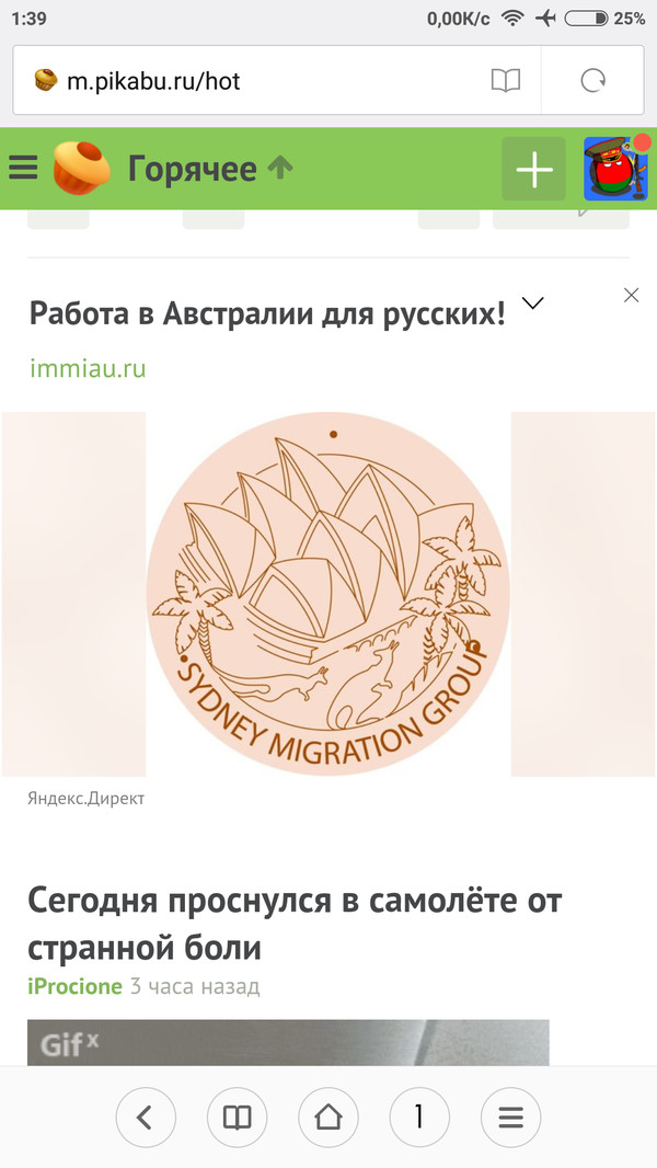 ����������?