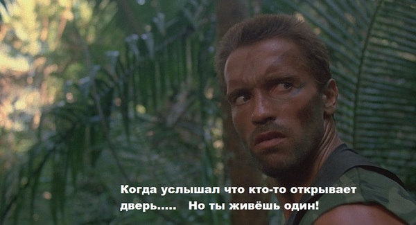 Шварц на страже