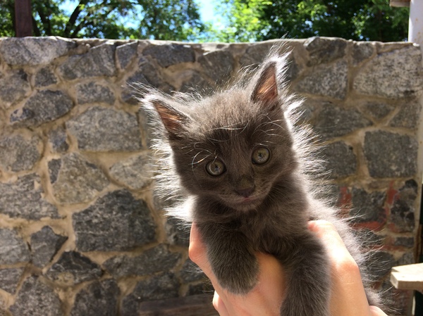 ˸��