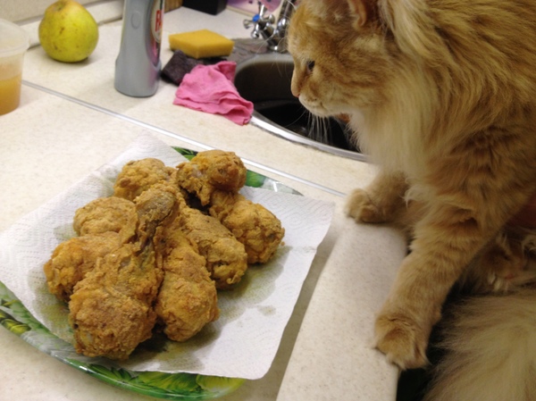 Chicken legs with a delicious crispy crust - My, Food, Recipe, Chicken legs, KFC, Chicken recipes, Yummy, Video, Longpost