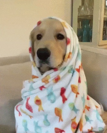 Моя Маруся :)