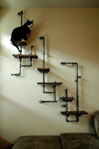 Guys.. Explain... how it is....!!! - Stairs, Design, Unusual, , Coolness, cat, Memes, Longpost