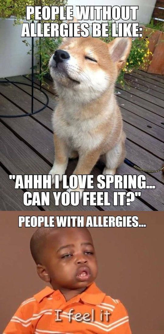 People without allergies vs people with allergies - Spring, Allergy, Difference