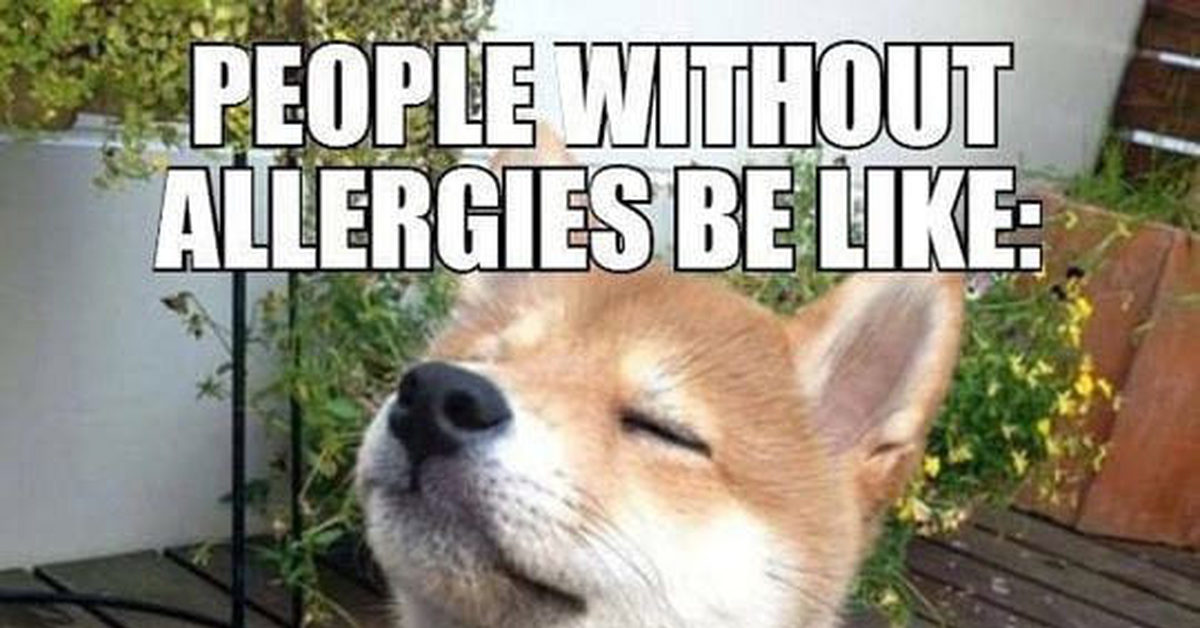 Есть люди у которых нет аллергии thumbnail