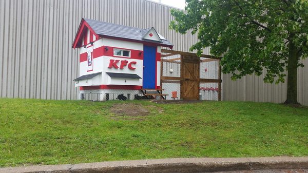 Neighbor's chicken coop - Without pale, Chicken coop, Neighbours