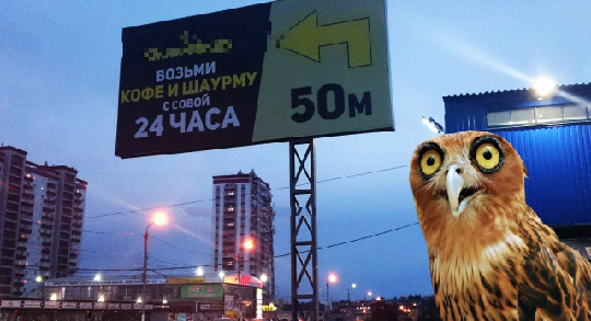 Shawarma with an owl))) - Advertising, Shawarma, Owl