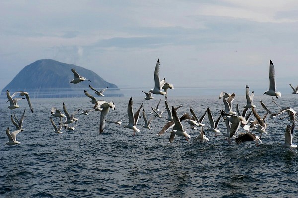 Beauty of the Far East - beauty of nature, Sea, The photo, Дальний Восток