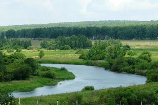 Stop GOK thanks to the inhabitants of Poletaevo-2 is defeated, the team scatters - Stop GOK, Building, Tominsky GOK, Activists