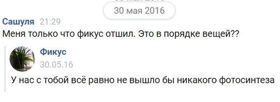 История одной большой любви и ненависти, или Приключения хлорофитума Алексея - Моё, Растения, Реальная история из жизни, Юмор, Длиннопост, Рисунок, Любовь, Сам пошутил - сам посмеялся