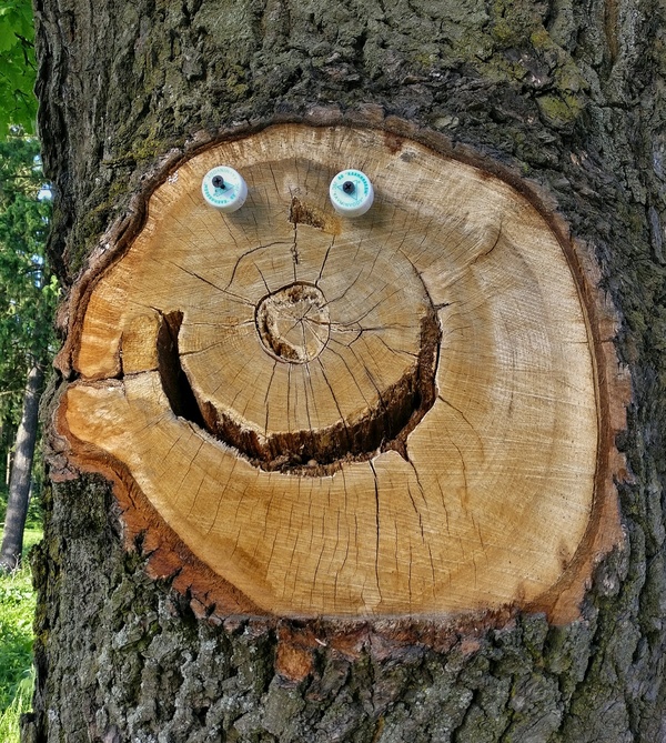 When to Be Serious - Tree, The photo, Smile, Smile, My