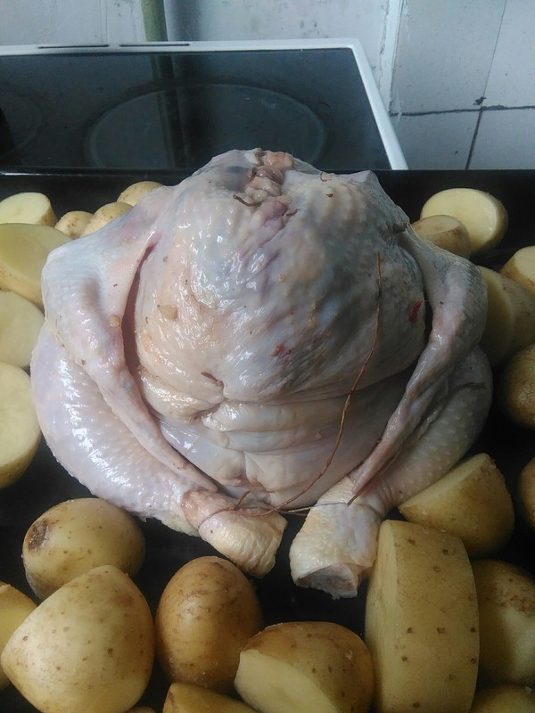 Курица - ждун