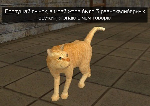 Типичный Postal
