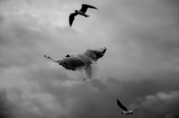 Полет | Пикабу