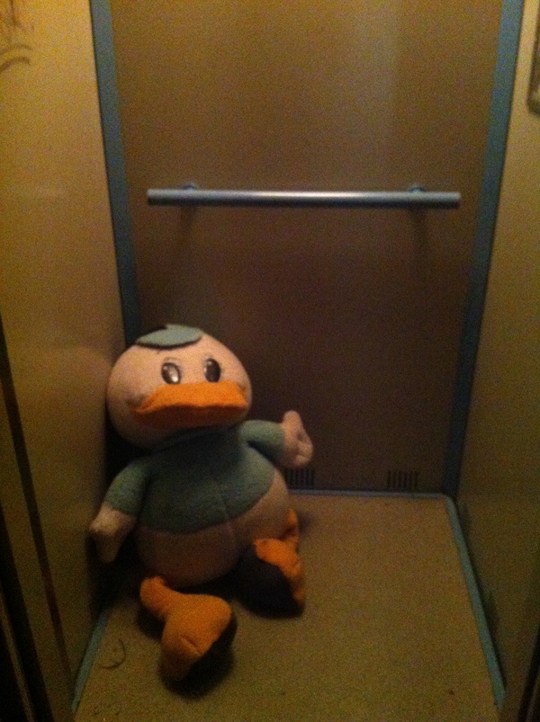 I called the elevator in the morning, and there ... - My, My, Duck, Kripota, Good morning, Elevator