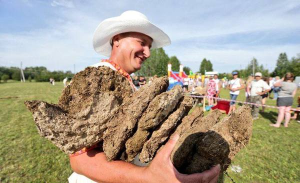 Perm cow! - Perm Territory, Folk fun, Manure, Video