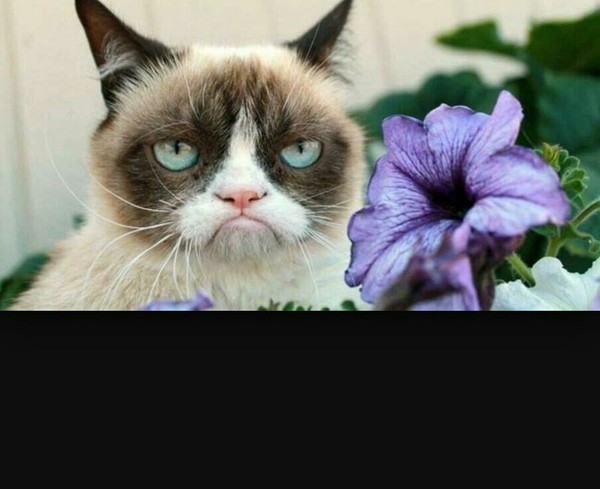 Квартирный вопрос