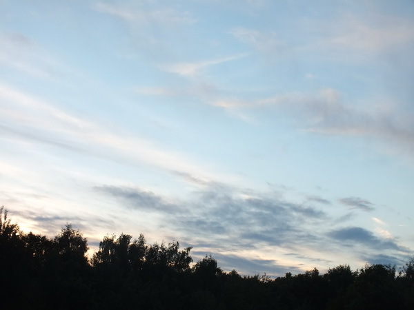 Evening sky over Bitsevsky Park - My, The photo, Walk, Sky, Evening, Bitsevsky Park, Longpost, My