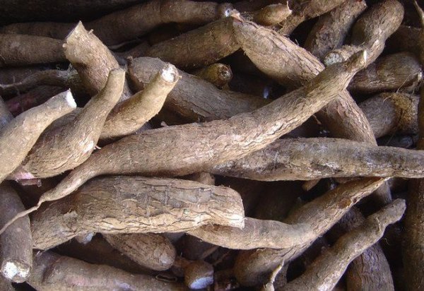 самые опасные блюда в мире. Смотреть фото самые опасные блюда в мире. Смотреть картинку самые опасные блюда в мире. Картинка про самые опасные блюда в мире. Фото самые опасные блюда в мире самые опасные блюда в мире. Смотреть фото самые опасные блюда в мире. Смотреть картинку самые опасные блюда в мире. Картинка про самые опасные блюда в мире. Фото самые опасные блюда в мире