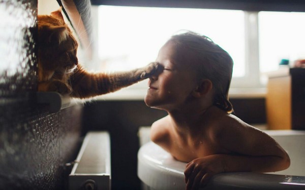 Go rub your nose - Milota, The photo, cat, Children's happiness, Bathing, Children, Bathing