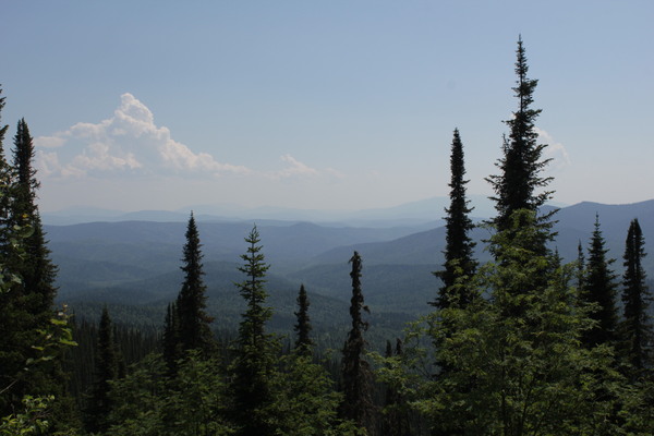 Pass Orton - My, Longpost, Kemerovo region - Kuzbass, Taiga, Today