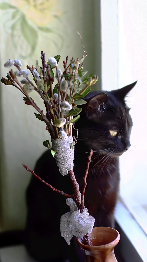 Panicle for a little witch - My, cat, Witches, Witch's Broom, Broom, Needlework, Needlework without process, Handmade