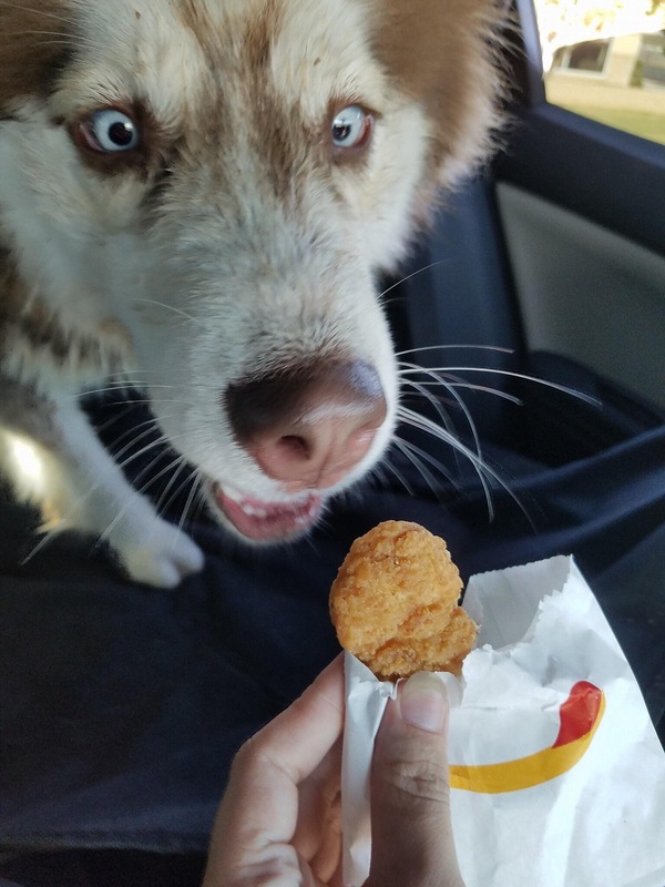 This look - Laika, Nuggets, Sight