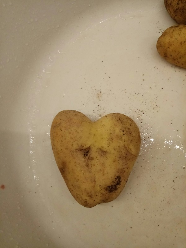 Valentine Lukashenka - Republic of Belarus, My, Alexander Lukashenko, Heart, Potato