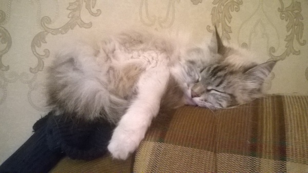 Re: ��������� ����