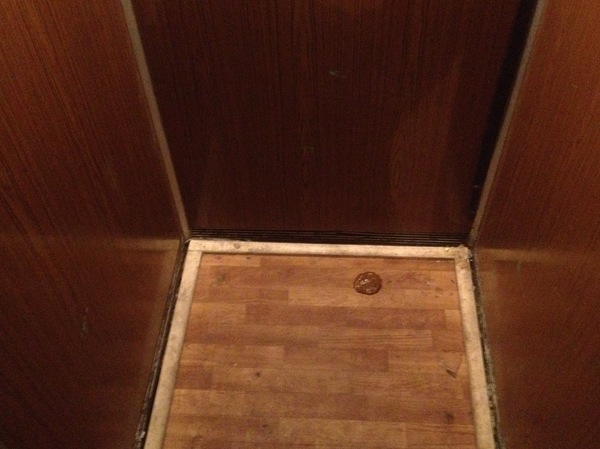 ���� ������! ����...