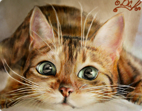 First try of new colored pencils) - My, Colour pencils, cat, Milota, Redheads, Green eyes, Fluffy