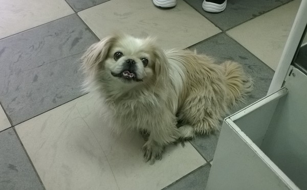 �������??