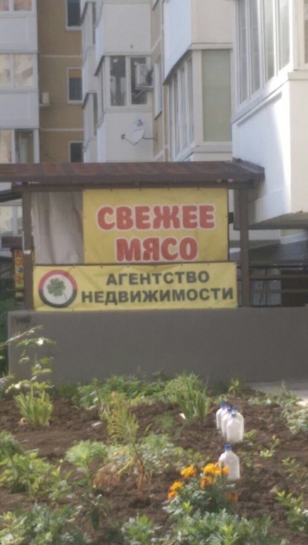 Любителям