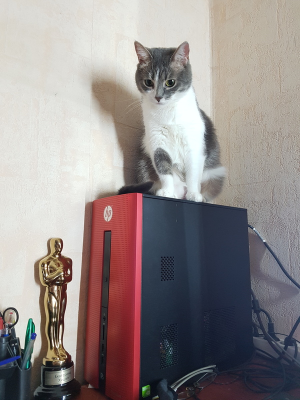 ,   ) , , 