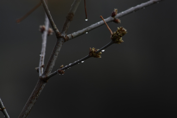 Baikal region at the end of March - The photo, Longpost, Amateur photographer, Buryatia, Baikal, My