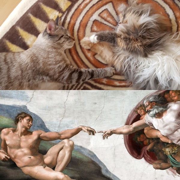   , 
