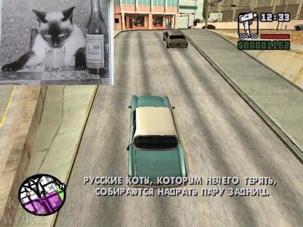 Russian cats - GTA: San Andreas, GTA San Andreas