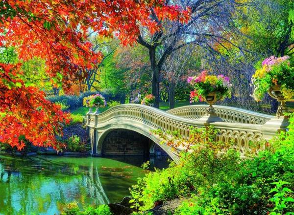 Landscape - Bridge, River, Tree, The park, Flowers