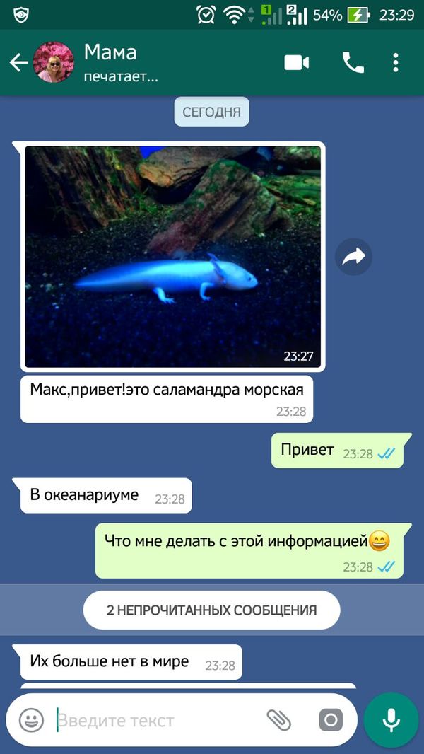 Что мне делать с этой информацией. Смотреть фото Что мне делать с этой информацией. Смотреть картинку Что мне делать с этой информацией. Картинка про Что мне делать с этой информацией. Фото Что мне делать с этой информацией