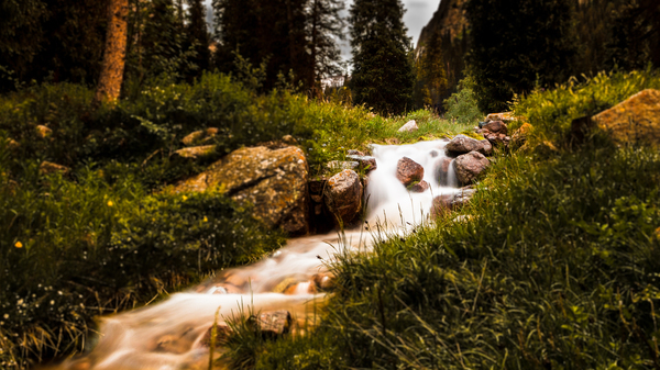 Stream - My, Nature, Stream, Grass, My, The photo