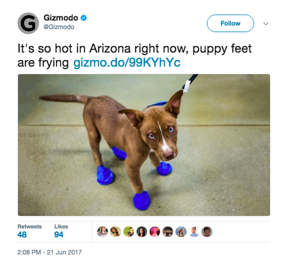 Now in Arizona - Arizona, USA, Heat, Summer, Longpost