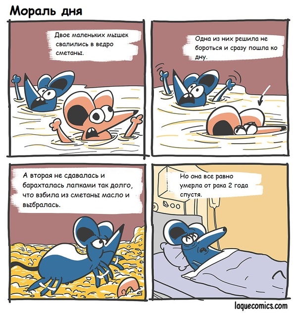    ... , , 