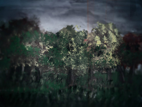 Trees - Longpost, Nature, Tree, Photoshop, My, Watercolor, Gouache, , 