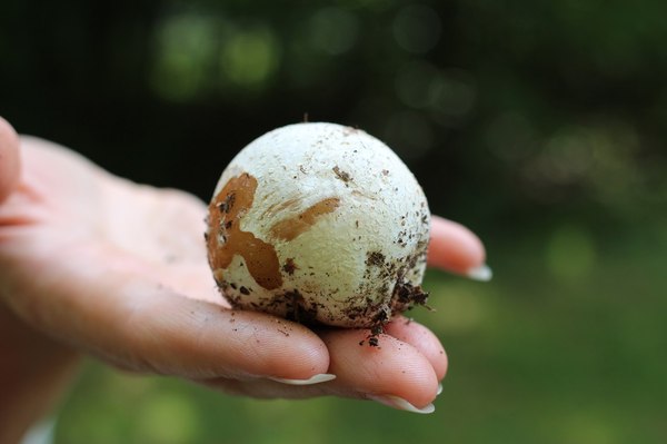 1498729943174432567 iccug что это значит