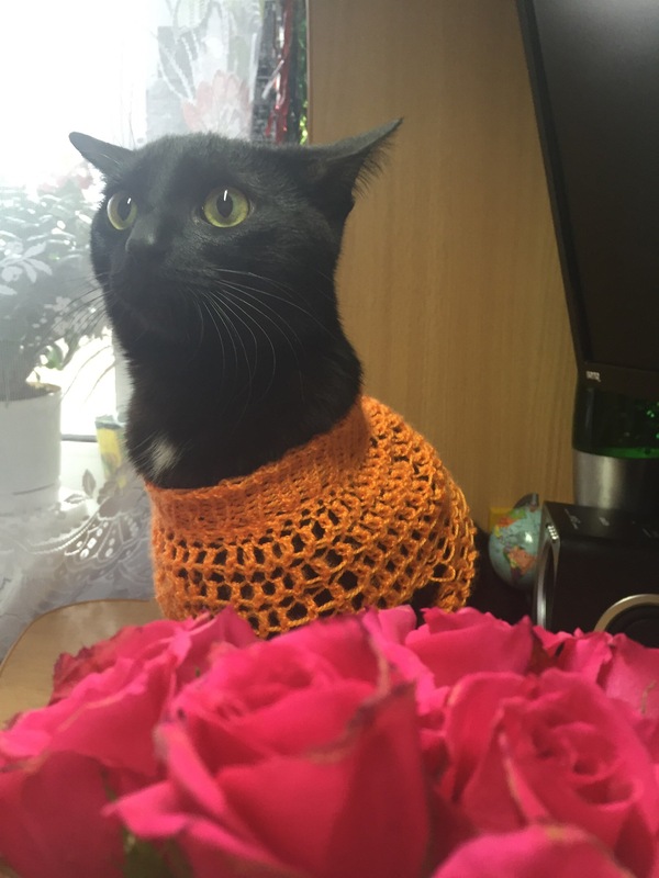 ���������, ����� ���-�� ������� ����� ����� ������� � �����������.